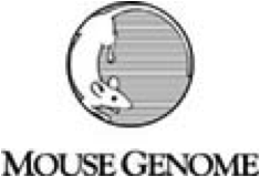 Mouse Genome